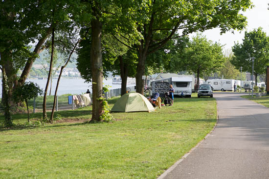 Campingpladsen ligger direkte ned til Rhinen