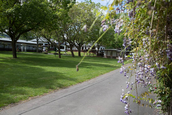 Rüdesheim Camping er en meget grøn campingplads med mange buske, blomster og store træer