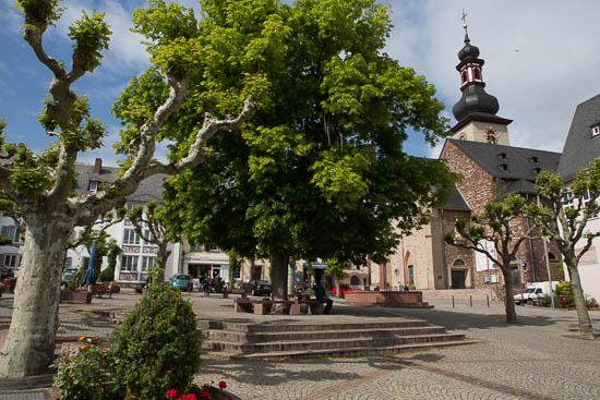 Rüdesheim er en hyggelig lille by at gå på opdagelse i