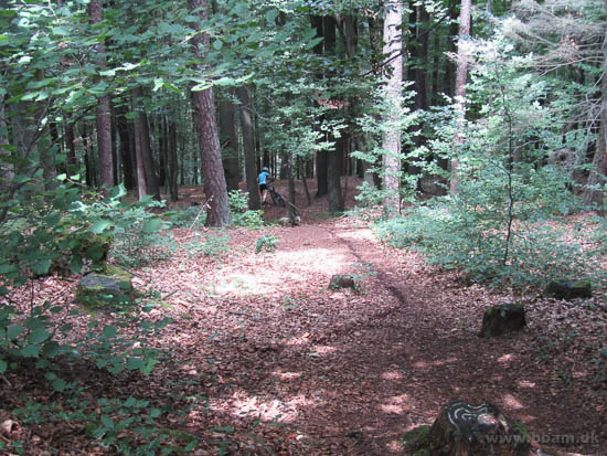 fam jensens sommertur 2014 88