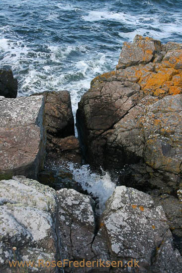 Rose Frederiksen på Ø-hop i Østersøen - Del 1 - Bornholm 1