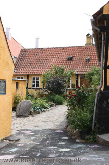 Rose Frederiksen på Ø-hop i Østersøen - Del 1 - Bornholm 1