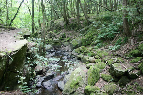 Rose Frederiksen på Ø-hop i Østersøen - Del 1 - Bornholm 1