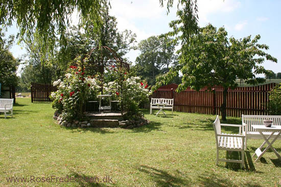 Rose Frederiksen på Ø-hop i Østersøen - Del 1 - Bornholm 1