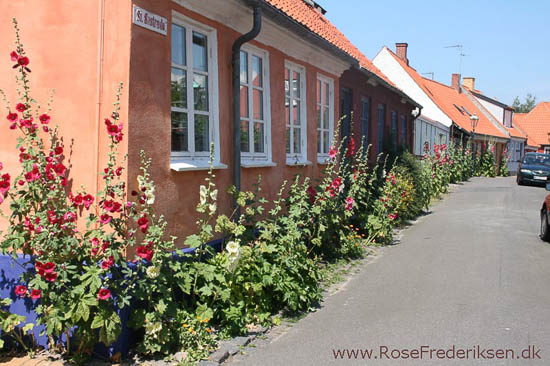 Rose Frederiksen på Ø-hop i Østersøen - Del 1 - Bornholm 1