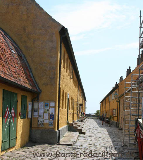 Rose Frederiksen på Ø-hop i Østersøen - Del 1 - Bornholm 1