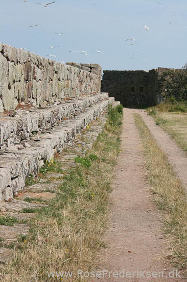 Rose Frederiksen på Ø-hop i Østersøen - Del 1 - Bornholm 1