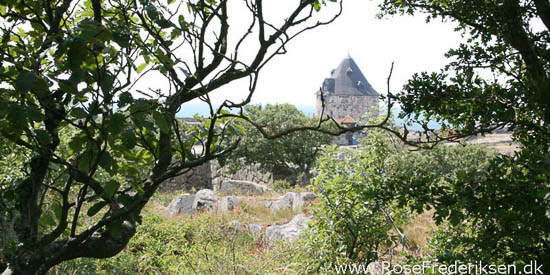 Rose Frederiksen på Ø-hop i Østersøen - Del 1 - Bornholm 1