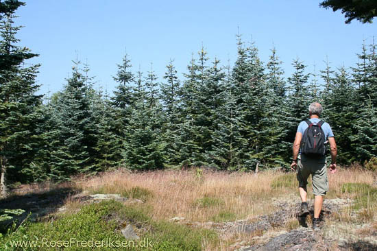 rose frederiksen oehop 2014 bornholm2 01