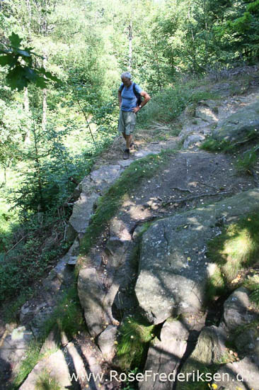 rose frederiksen oehop 2014 bornholm2 01