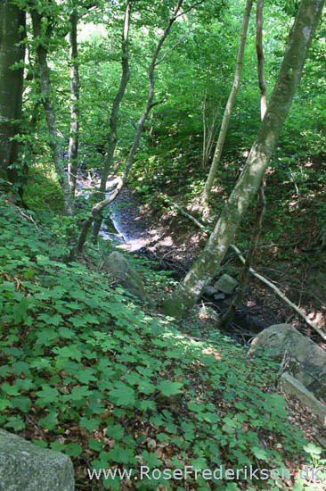 rose frederiksen oehop 2014 bornholm2 01