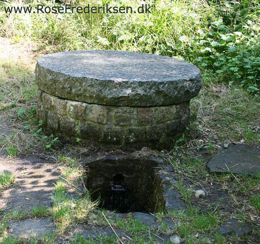 rose frederiksen oehop 2014 bornholm2 01