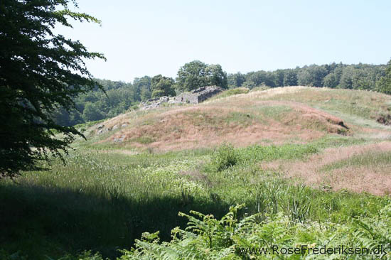 rose frederiksen oehop 2014 bornholm2 01