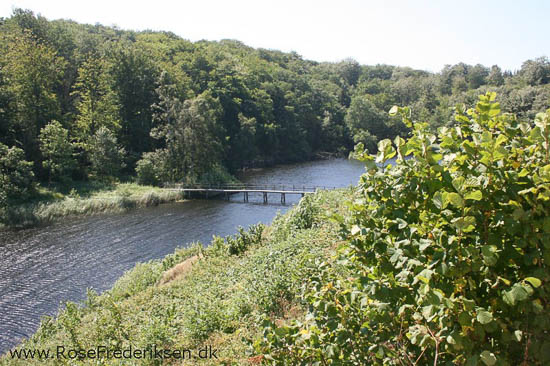 rose frederiksen oehop 2014 bornholm2 01