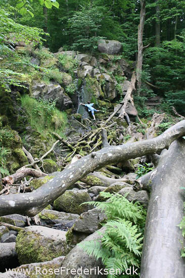 rose frederiksen oehop 2014 bornholm2 01