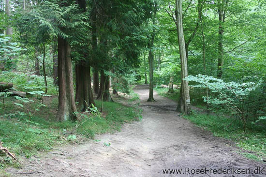 rose frederiksen oehop 2014 bornholm2 01