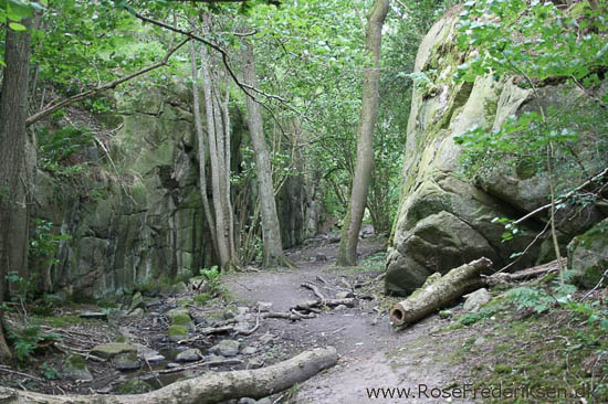 rose frederiksen oehop 2014 bornholm2 01