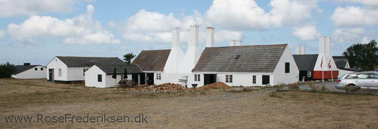 rose frederiksen oehop 2014 bornholm2 01