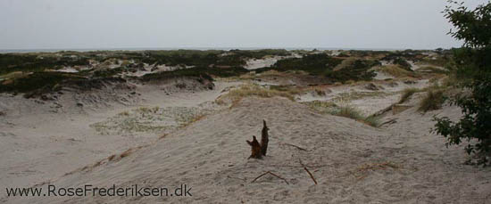 rose frederiksen oehop 2014 bornholm2 01