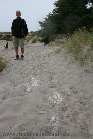 rose frederiksen oehop 2014 bornholm2 01