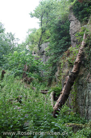 rose frederiksen oehop 2014 bornholm2 01