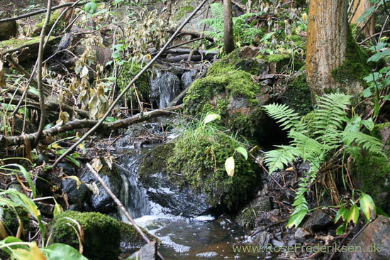 rose frederiksen oehop 2014 bornholm2 01