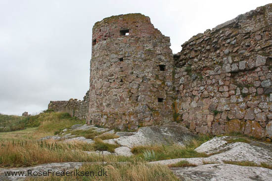 rose frederiksen oehop 2014 bornholm2 01