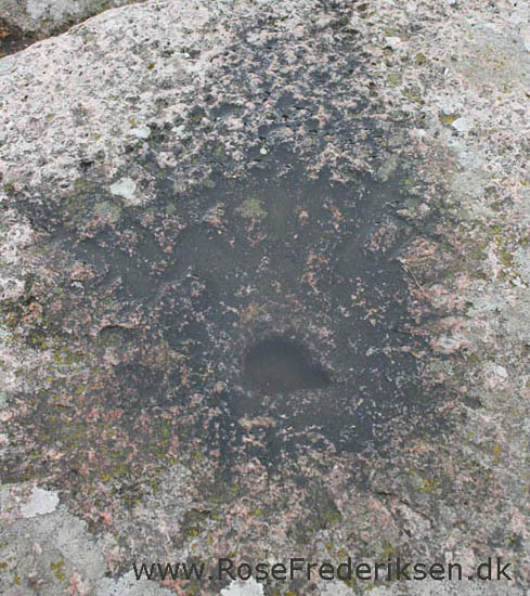 rose frederiksen oehop 2014 bornholm2 01