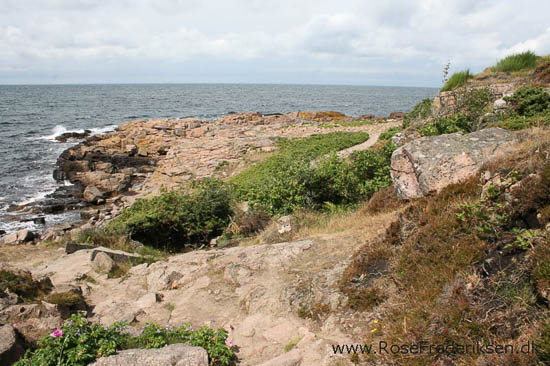 rose frederiksen oehop 2014 bornholm2 01