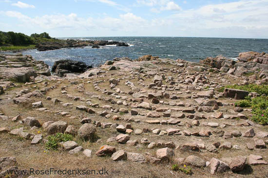 rose frederiksen oehop 2014 bornholm2 01