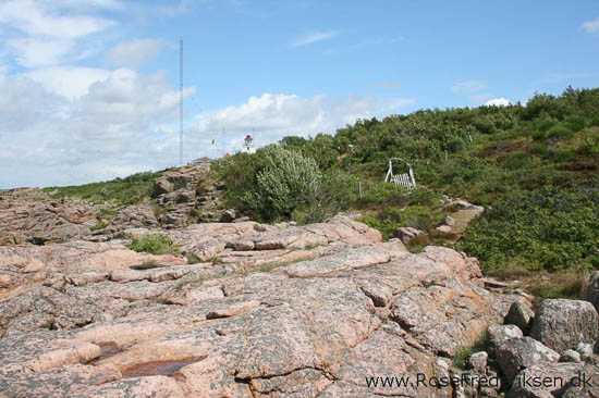 rose frederiksen oehop 2014 bornholm2 01