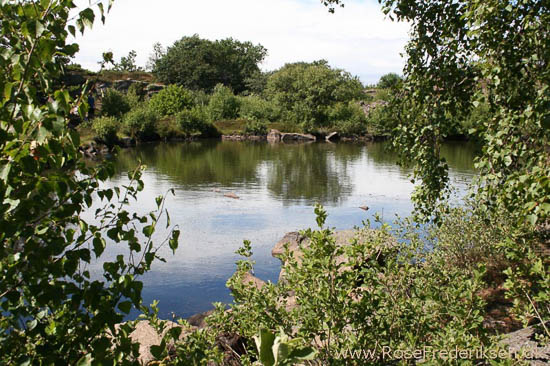 rose frederiksen oehop 2014 bornholm2 01