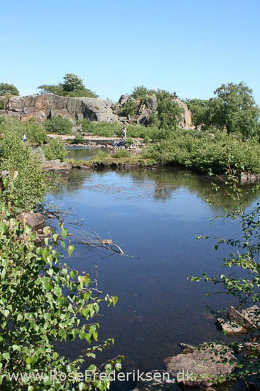 rose frederiksen oehop 2014 bornholm2 01