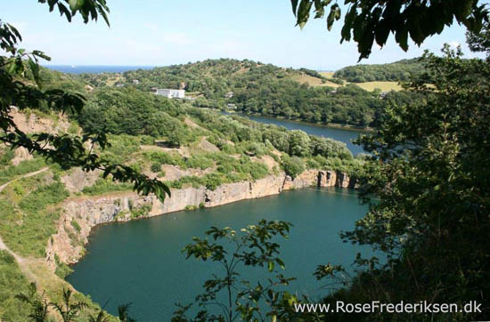 rose frederiksen oehop 2014 bornholm2 01