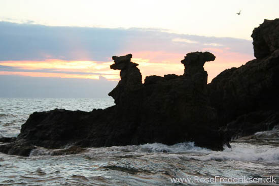 rose frederiksen oehop 2014 bornholm2 01