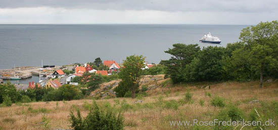 rose frederiksen oehop 2014 bornholm2 01