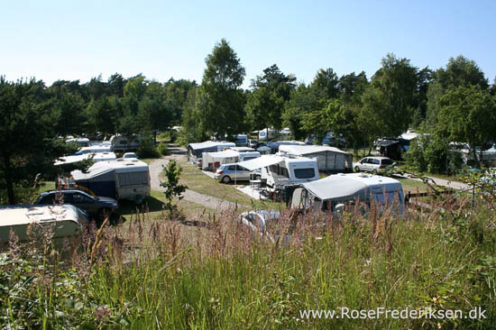 Familien Rose Frederisken på camping på Rügen i Tyskland