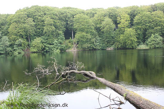 Familien Rose Frederisken på camping på Rügen i Tyskland