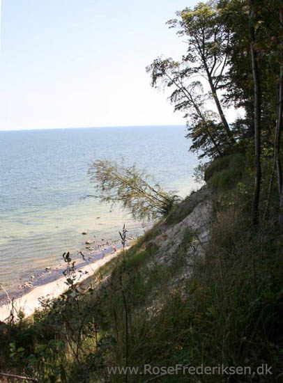 Familien Rose Frederisken på camping på Rügen i Tyskland