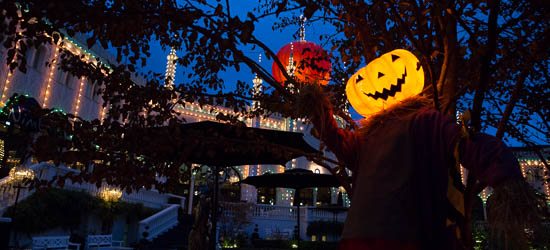 I år er det 9. år at Tivoli holder Halloween