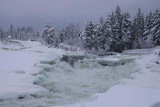 vintermarked jokkmokk sverige 2014 16