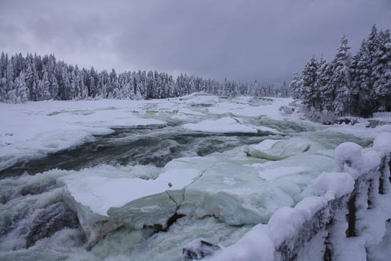 vintermarked jokkmokk sverige 2014 16