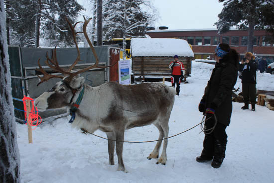 vintermarked jokkmokk sverige 2014 16