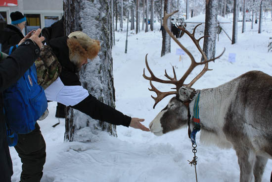 vintermarked jokkmokk sverige 2014 16