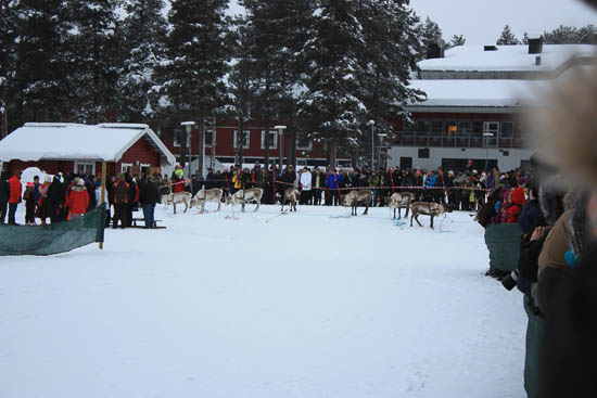 vintermarked jokkmokk sverige 2014 16