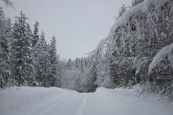 vintermarked jokkmokk sverige 2014 16