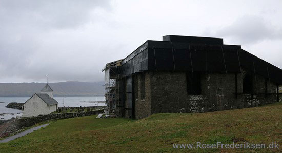 faeoerne artikel 240615 107