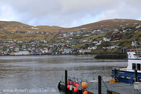 faeoerne artikel 240615 115