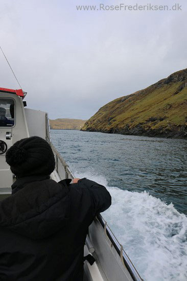 faeoerne artikel 240615 123