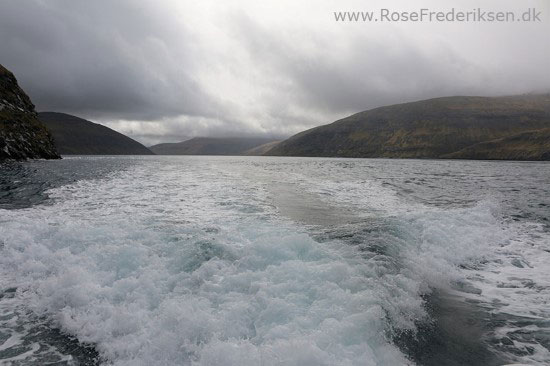 faeoerne artikel 240615 124